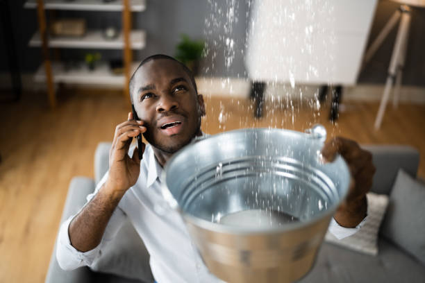 Best Water damage restoration services  in Hilbert, WI