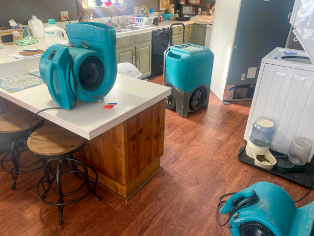 Best Commercial water damage restoration  in Hilbert, WI