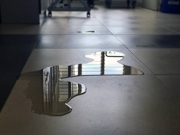Best Professional water damage repair  in Hilbert, WI