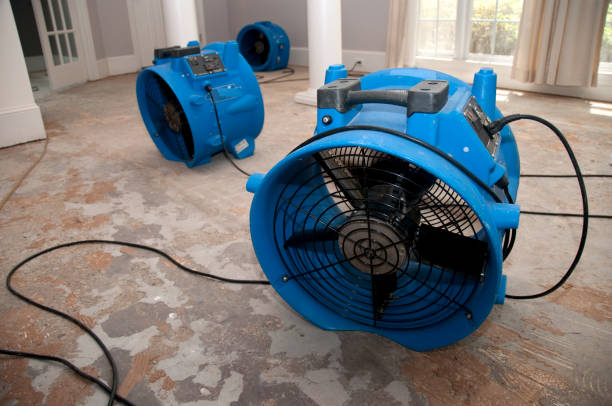 Best Fire Damage Restoration  in Hilbert, WI