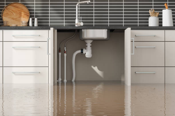 Best Flood restoration services  in Hilbert, WI