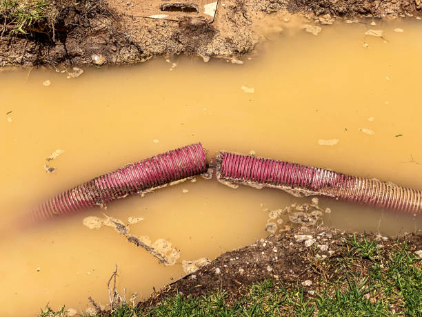 Best Water damage cleanup near me  in Hilbert, WI