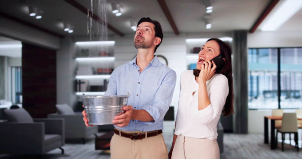 Best Water damage repair service  in Hilbert, WI