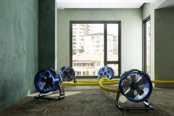 Best Water damage restoration near me  in Hilbert, WI